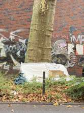 Bild zu gemeldetem Anliegen vom *2025-10-13 09:29:14