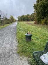 Bild zu gemeldetem Anliegen vom *2025-10-08 12:24:56