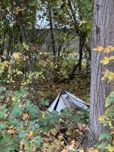 Bild zu gemeldetem Anliegen vom *2025-10-19 12:36:06