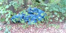 Bild zu gemeldetem Anliegen vom *2025-10-10 09:28:26