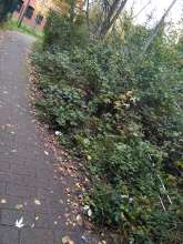 Bild zu gemeldetem Anliegen vom *2025-10-13 16:52:22