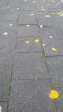 Bild zu gemeldetem Anliegen vom *2025-10-16 21:28:20