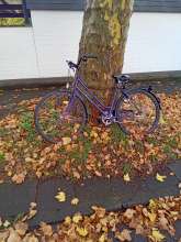 Bild zu gemeldetem Anliegen vom *2025-10-20 09:33:51