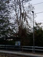 Bild zu gemeldetem Anliegen vom *2025-10-23 15:27:40