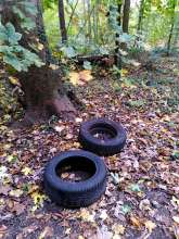  vom *2025-10-24 18:07:59