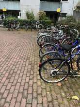 Bild zu gemeldetem Anliegen vom *2025-10-06 18:29:05