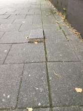 Bild zu gemeldetem Anliegen vom *2025-10-02 12:29:18