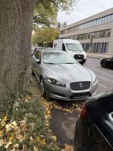 Bild zu gemeldetem Anliegen vom *2025-10-25 12:40:45