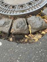 Bild zu gemeldetem Anliegen vom *2025-10-31 15:29:53