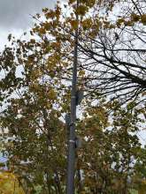 Bild zu gemeldetem Anliegen vom *2025-10-27 09:36:21