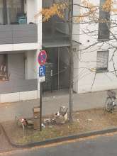 Bild zu gemeldetem Anliegen vom *2025-10-12 11:34:01