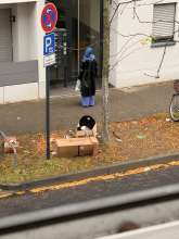 Bild zu gemeldetem Anliegen vom *2025-10-13 09:35:21