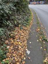 Bild zu gemeldetem Anliegen vom *2025-10-15 18:27:13
