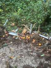 Bild zu gemeldetem Anliegen vom *2025-10-07 09:34:19