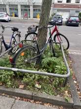 Bild zu gemeldetem Anliegen vom *2025-10-20 09:42:03