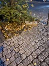 Bild zu gemeldetem Anliegen vom *2025-10-06 15:29:56