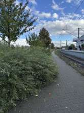 Bild zu gemeldetem Anliegen vom *2025-10-20 15:27:17