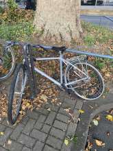 Bild zu gemeldetem Anliegen vom *2025-10-01 18:50:48