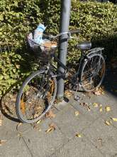 Bild zu gemeldetem Anliegen vom *2025-10-02 14:06:10