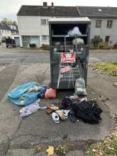 Bild zu gemeldetem Anliegen vom *2025-10-29 12:34:23