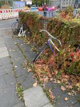 Bild zu gemeldetem Anliegen vom *2025-10-11 09:33:34