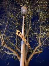 Bild zu gemeldetem Anliegen vom *2025-10-22 18:30:19