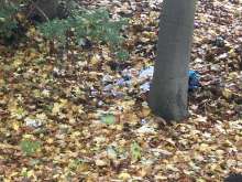 Bild zu gemeldetem Anliegen vom *2025-10-29 08:43:14