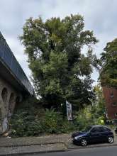 Bild zu gemeldetem Anliegen vom *2025-10-10 12:36:35