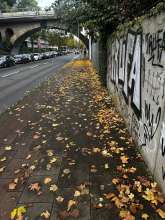 Bild zu gemeldetem Anliegen vom *2025-10-20 15:27:17