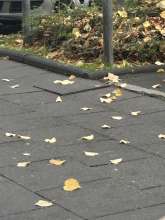 Bild zu gemeldetem Anliegen vom *2025-10-17 09:35:25