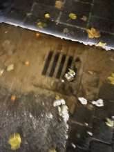 Bild zu gemeldetem Anliegen vom *2025-10-23 06:32:11