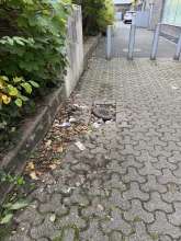 Bild zu gemeldetem Anliegen vom *2025-10-12 15:30:04