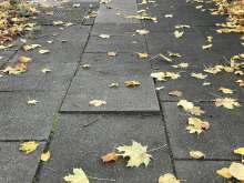 Gehwegplatten vermutlich durch Wurzeln hochgekommen. Stolpergefahr. Mehrere Platten betroffen. 