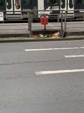 Bild zu gemeldetem Anliegen vom *2025-10-22 09:30:22