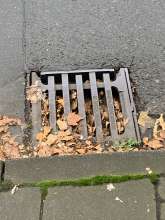 Bild zu gemeldetem Anliegen vom *2025-10-22 06:29:16