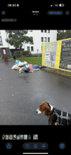 Bild zu gemeldetem Anliegen vom *2025-10-17 08:51:31