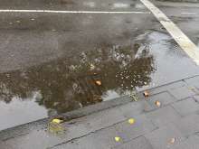 Bild zu gemeldetem Anliegen vom *2025-10-04 09:36:32