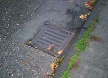 Bild zu gemeldetem Anliegen vom *2025-10-28 09:03:46