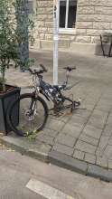 Bild zu gemeldetem Anliegen vom *2025-10-12 12:32:49