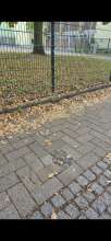 Bild zu gemeldetem Anliegen vom *2025-10-10 09:28:26