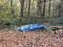 Bild zu gemeldetem Anliegen vom *2025-10-30 21:35:14