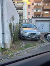 Bild zu gemeldetem Anliegen vom *2025-10-03 06:34:59