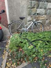 Bild zu gemeldetem Anliegen vom *2025-10-21 08:58:31