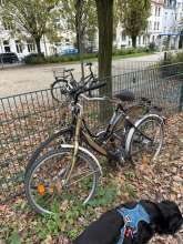 Bild zu gemeldetem Anliegen vom *2025-10-31 12:27:18