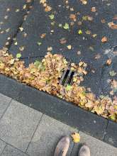 Bild zu gemeldetem Anliegen vom *2025-10-04 15:28:08