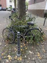 Bild zu gemeldetem Anliegen vom *2025-10-11 12:30:14