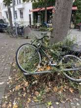 Bild zu gemeldetem Anliegen vom *2025-10-11 12:33:35
