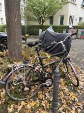 Bild zu gemeldetem Anliegen vom *2025-10-11 12:36:32