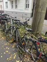 Bild zu gemeldetem Anliegen vom *2025-10-11 13:36:15