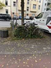 Bild zu gemeldetem Anliegen vom *2025-10-11 13:45:02